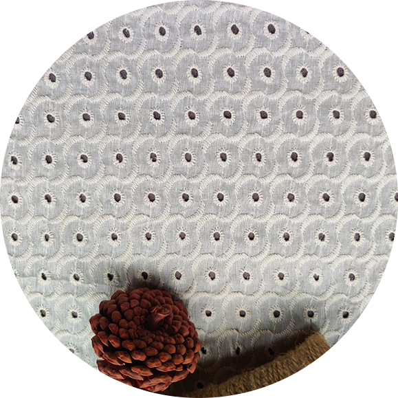 Schiffli Cotton Embroidery Our Founder Image