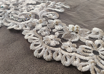 Schiffli Net Fabric Image